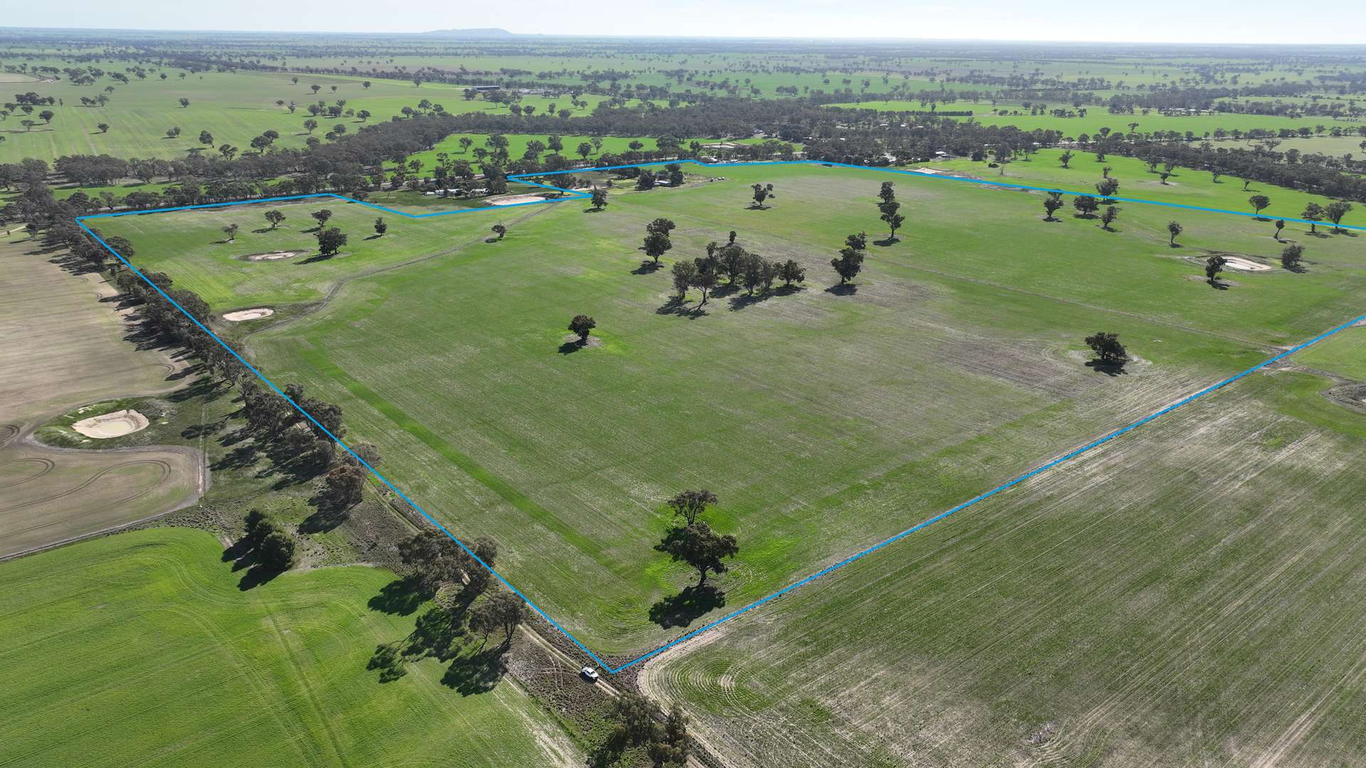 2822 Henty Highway, Wonwondah Sold by Farmbuy.com - image 4