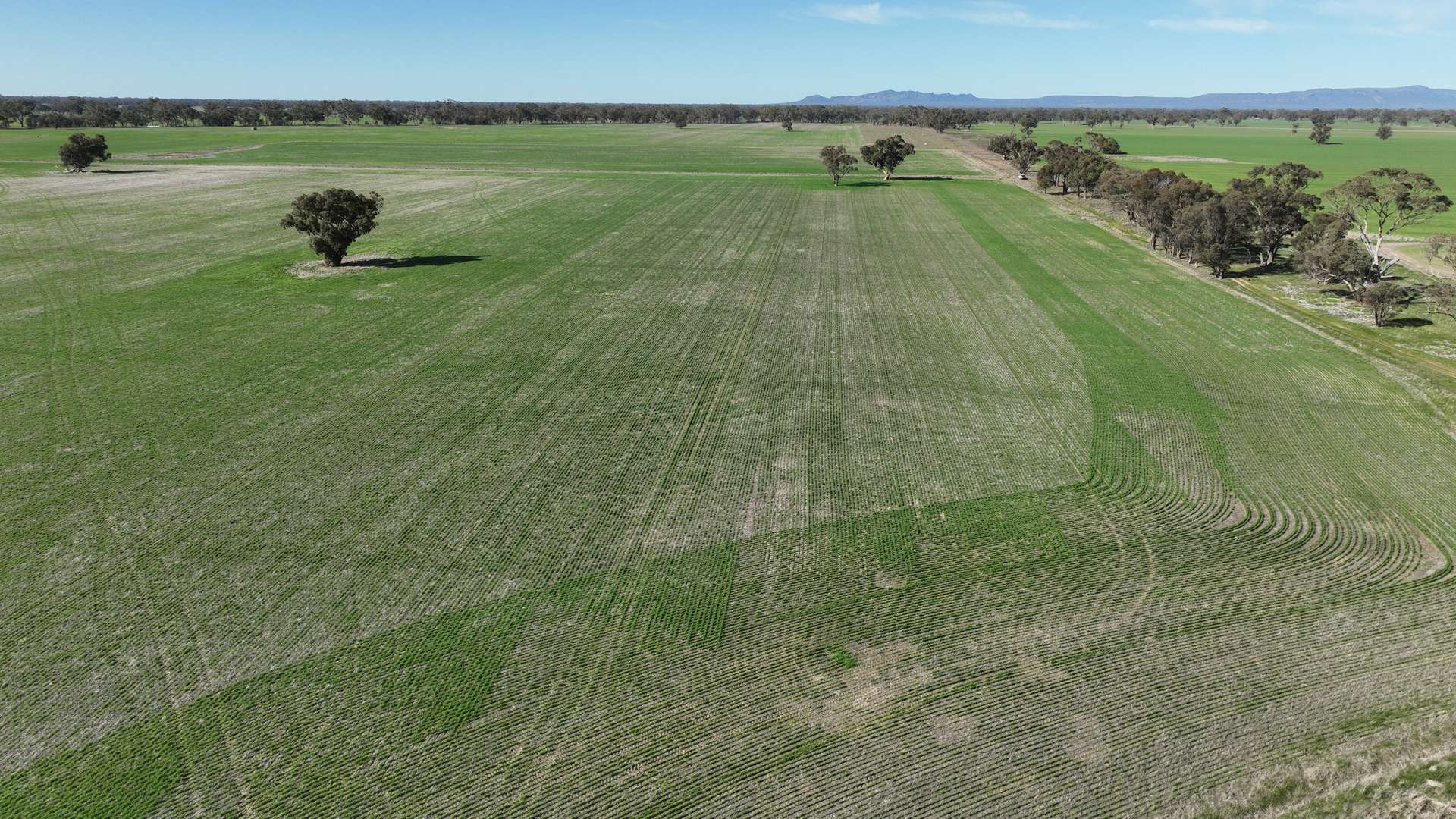 2822 Henty Highway, Wonwondah Sold by Farmbuy.com - image 12