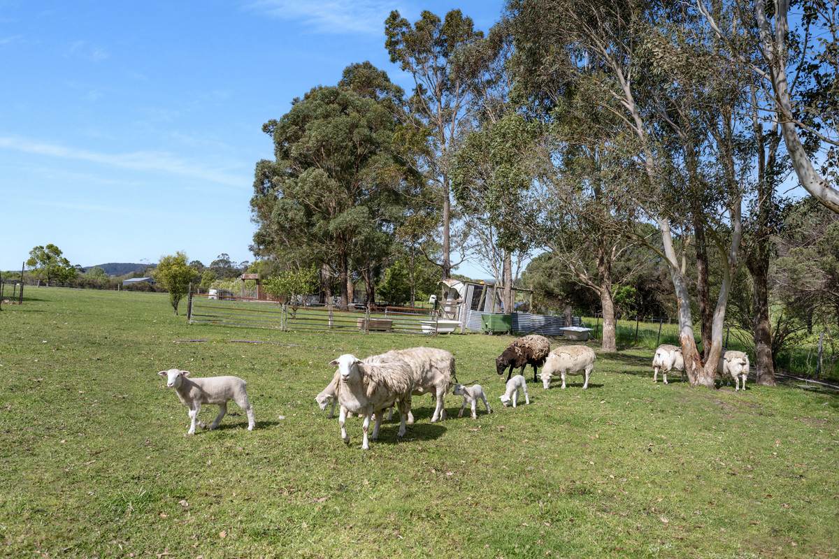 23 Fahl Lane, Jaspers Brush For Sale by Farmbuy.com - image 17