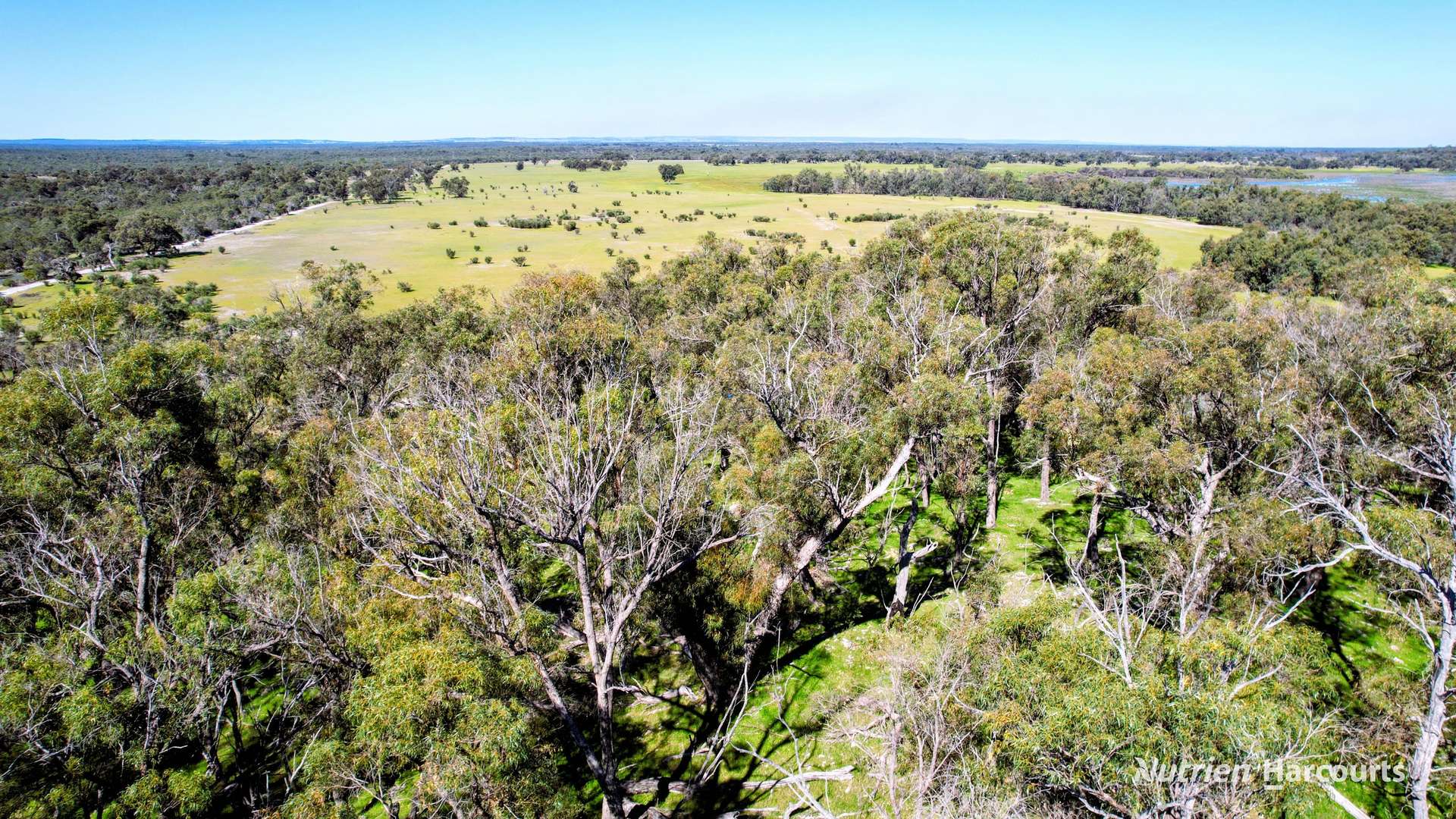 Lot 51 Millbank Road, Cowalla For Sale by Farmbuy.com - image 13