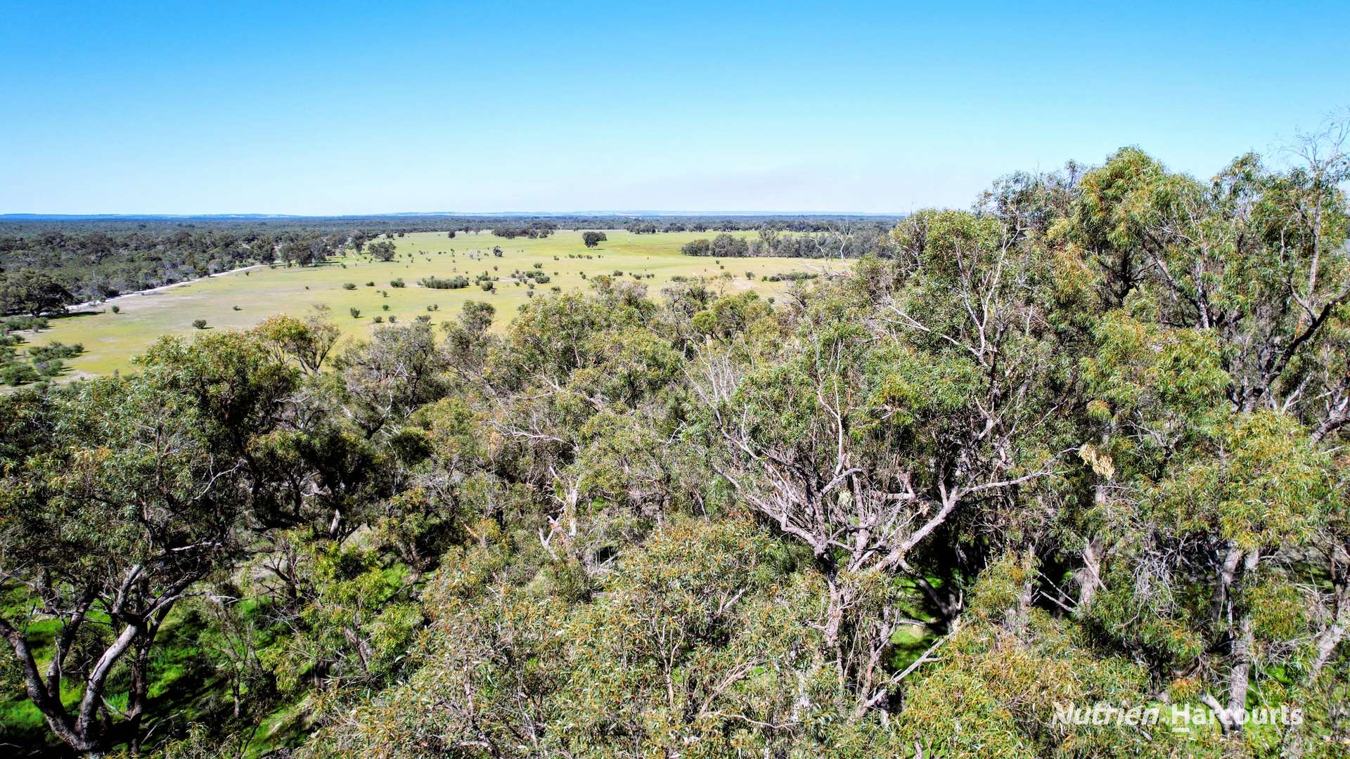 Lot 51 Millbank Road, Cowalla For Sale by Farmbuy.com - image 9