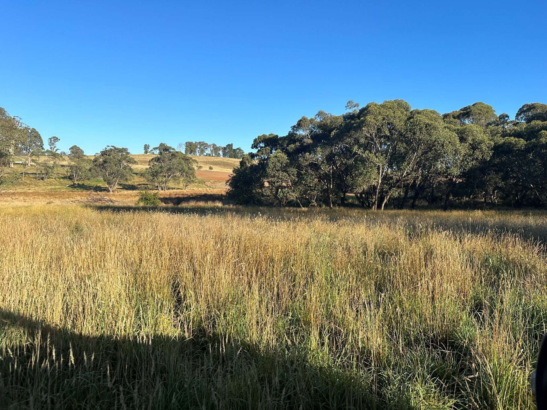 1 Willigobung Road, Tumbarumba For Sale by Farmbuy.com - image 14