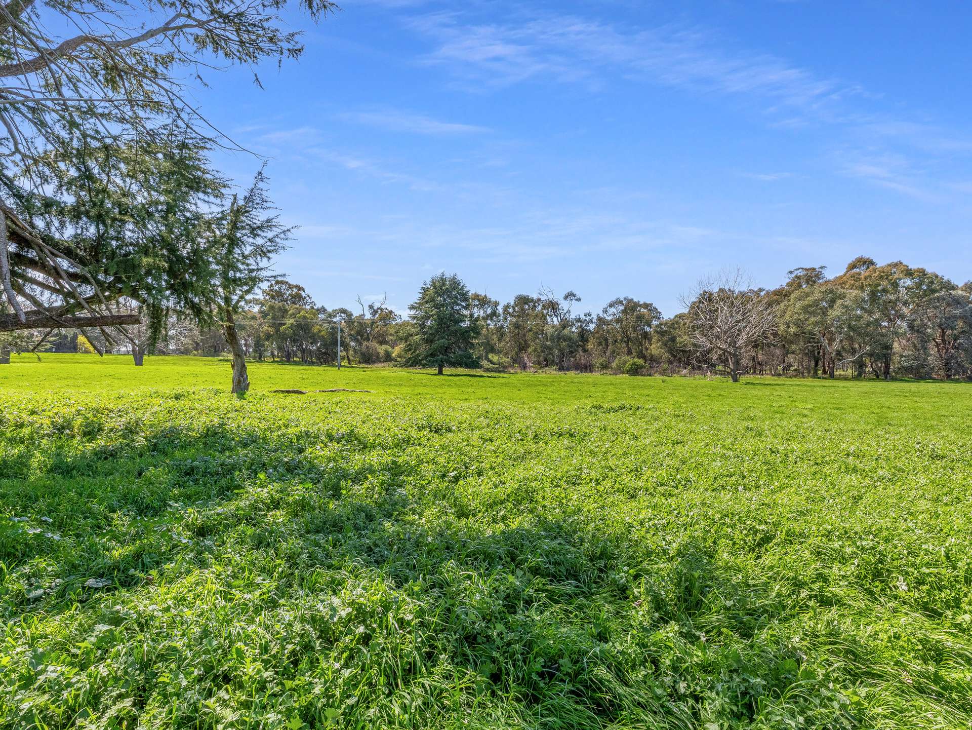 11 Kensington Drive, Killawarra Sold by Farmbuy.com - image 29