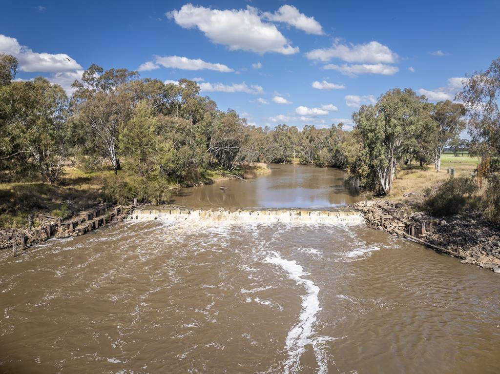 Texas Valley Beef 1804 TARWOONA ROAD, Camp Creek NSW 4385