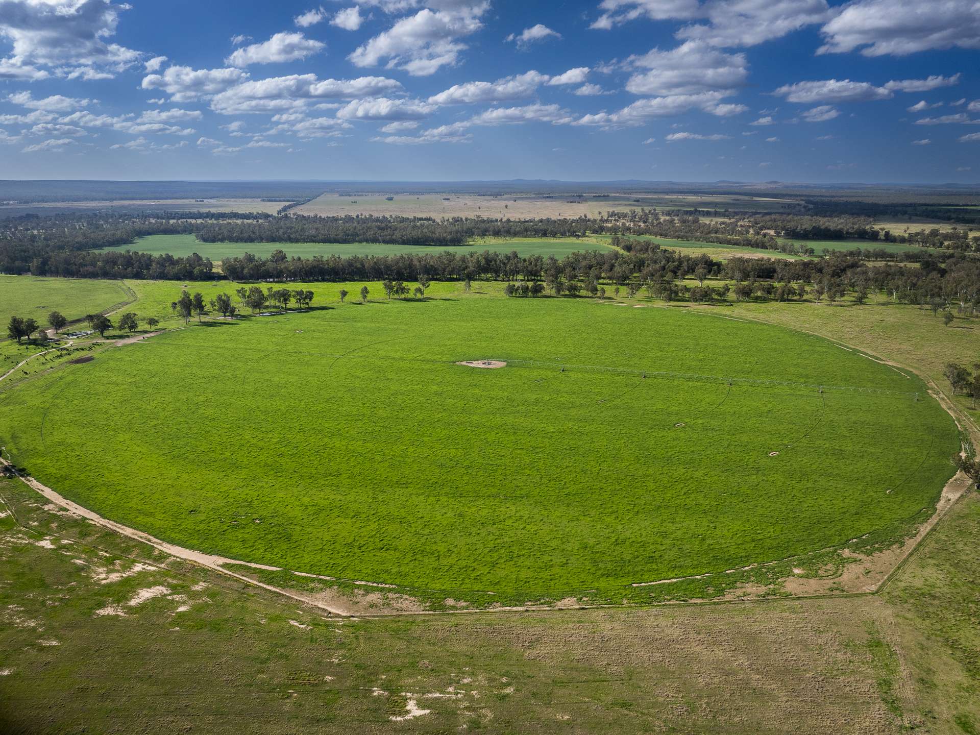 Texas Valley Beef 1804 TARWOONA ROAD, Camp Creek For Sale by Farmbuy.com - image 7