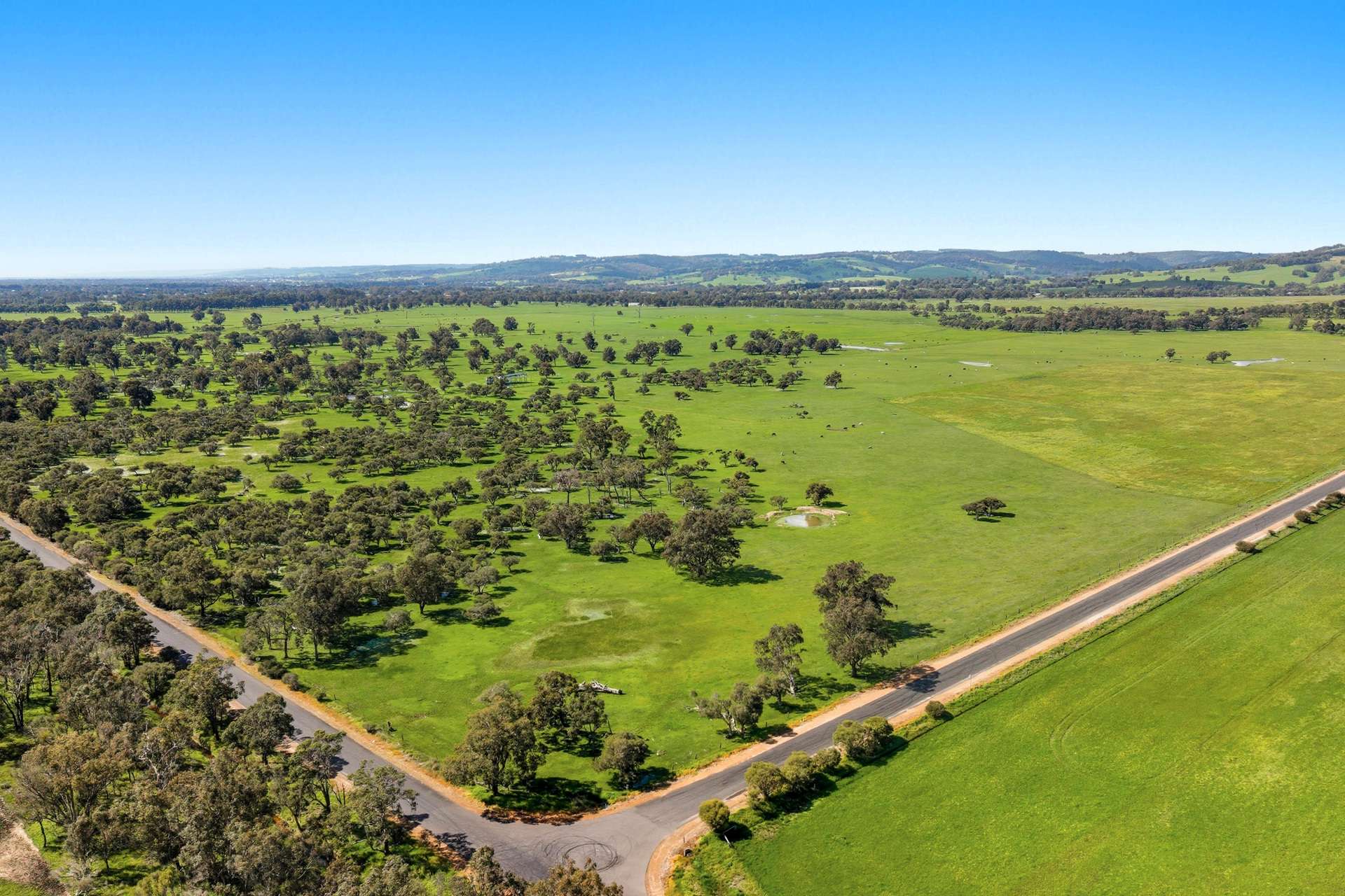Dowdells Line, Paradise Sold by Farmbuy.com - image 6