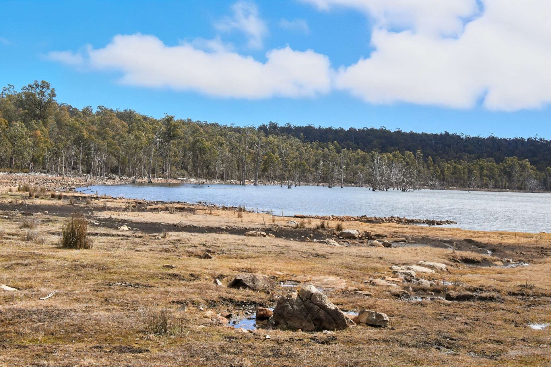 0 'Wilderness Waters Estate'  Tea Tree Bay Road, Wilburville For Sale by Farmbuy.com - image 17