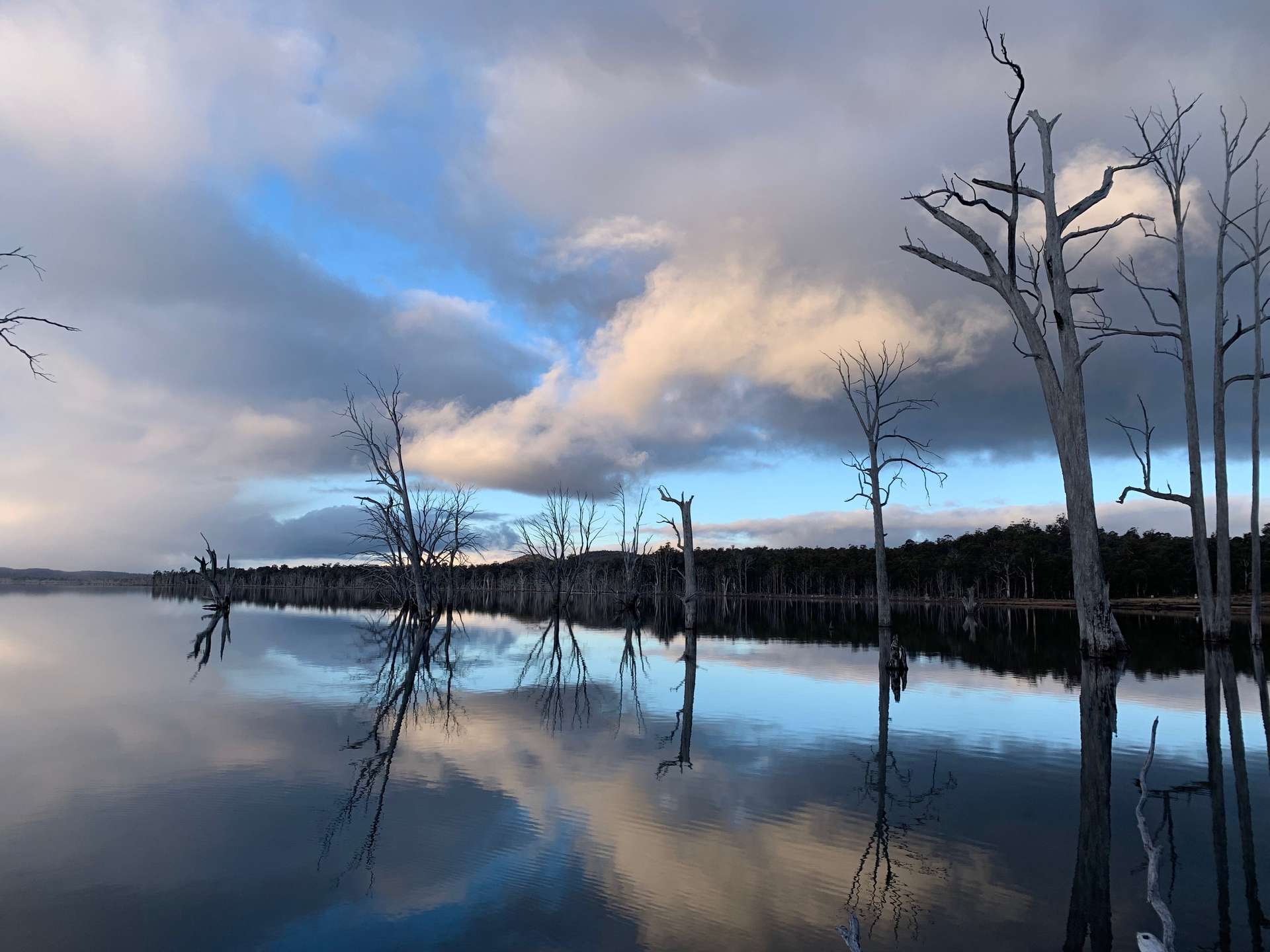 0 'Wilderness Waters Estate'  Tea Tree Bay Road, Wilburville For Sale by Farmbuy.com - image 11