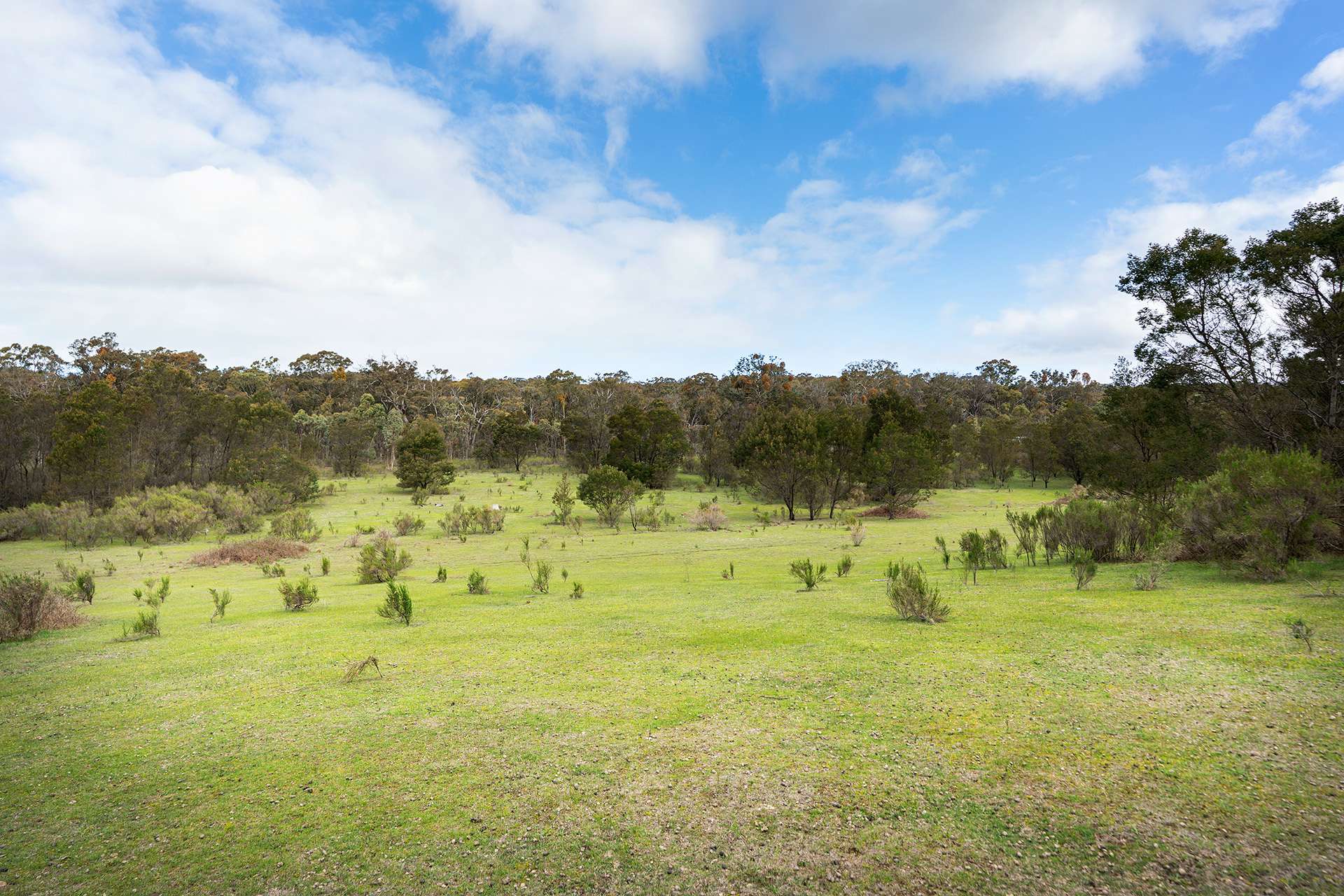 130 Cypress Drive, Elphinstone For Sale by Farmbuy.com - image 11