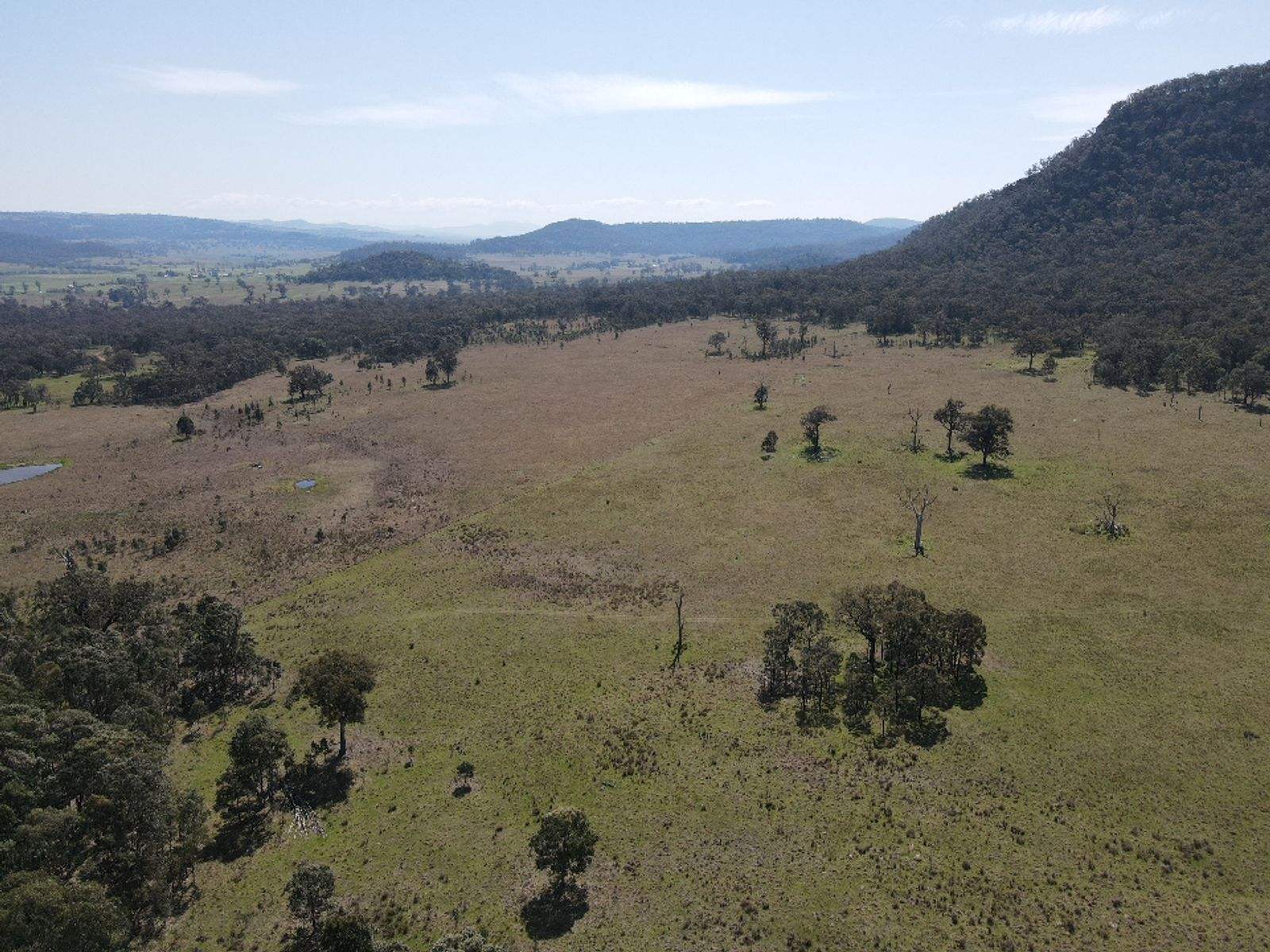 1022 Ridgelands Road, Muswellbrook Sold by Farmbuy.com - image 11