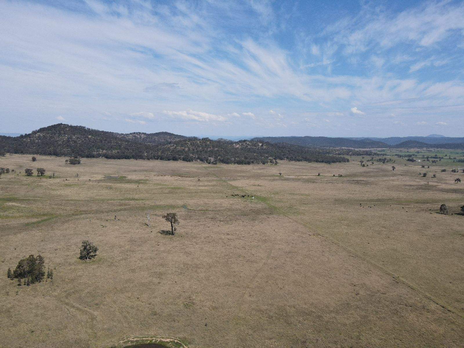 1022 Ridgelands Road, Muswellbrook Sold by Farmbuy.com - image 20