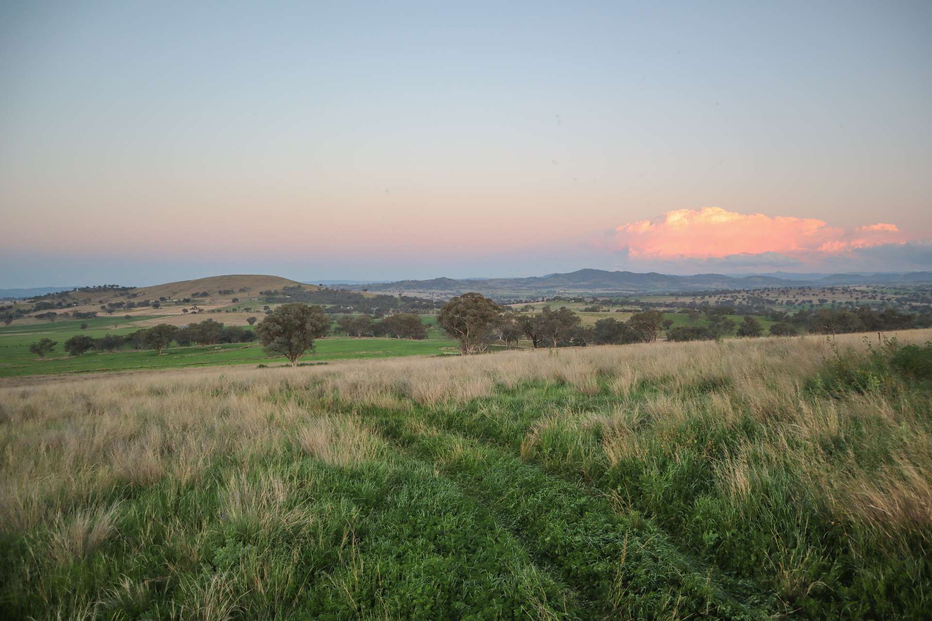 Grandview 13669 New England Highway, Timbumburi Sold by Farmbuy.com - image 23