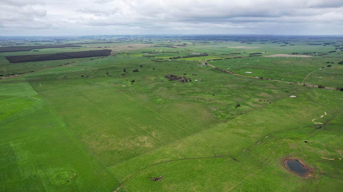 731 Framlingham-Garvoc Road, Garvoc Sold by Farmbuy.com - image 2