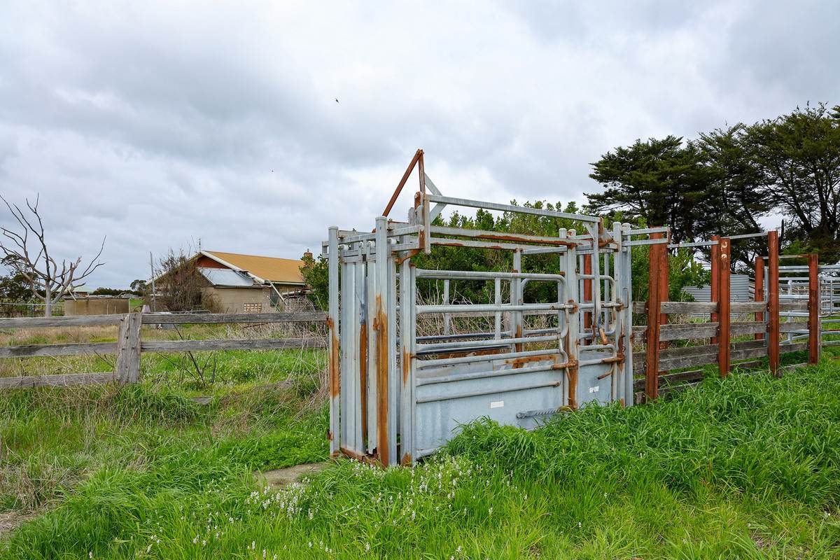 731 Framlingham-Garvoc Road, Garvoc Sold by Farmbuy.com - image 16