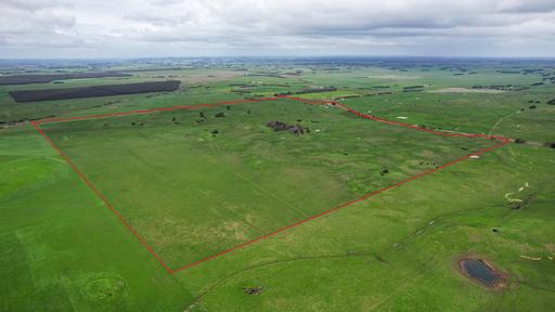 Farm Sold - VIC - Garvoc - 3265 - Full or feed – Just let the cattle in! 