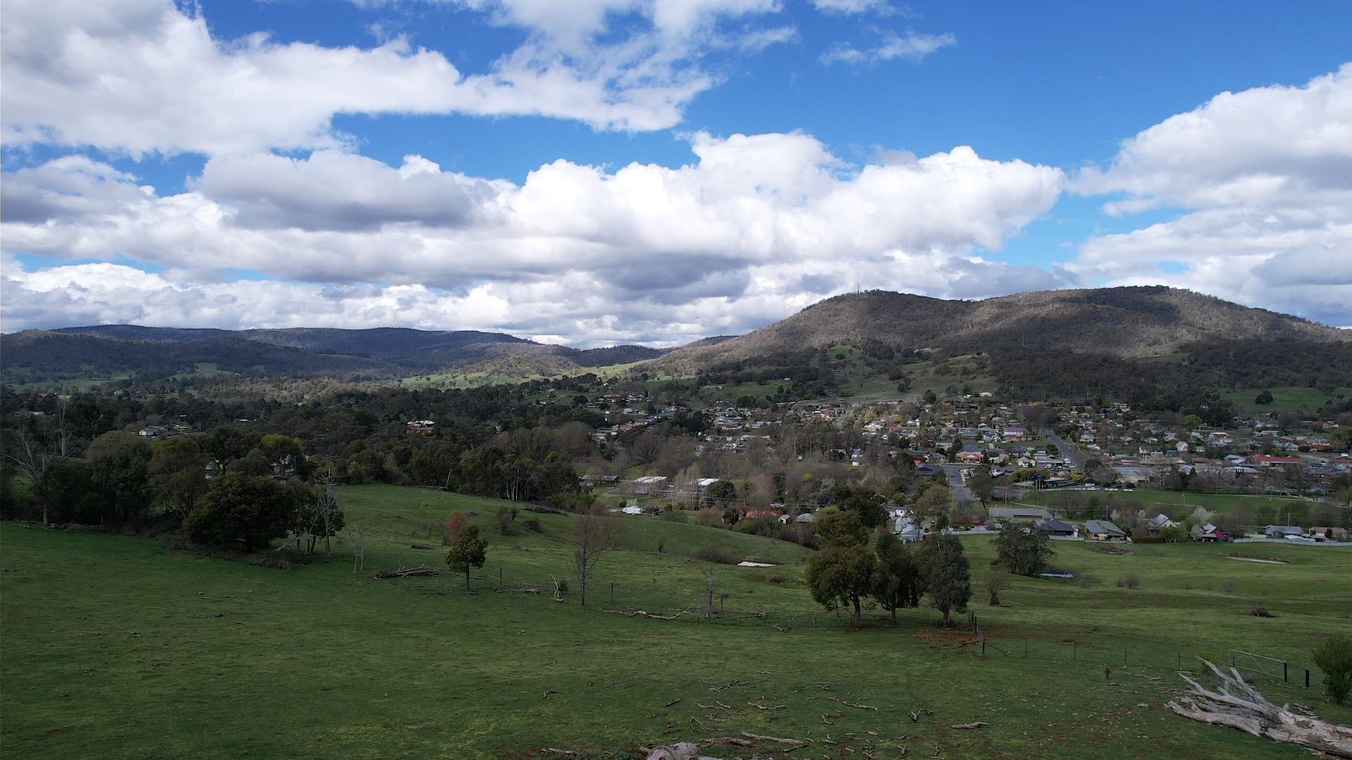 13 Chaffey Close, Tumbarumba For Sale by Farmbuy.com - image 6
