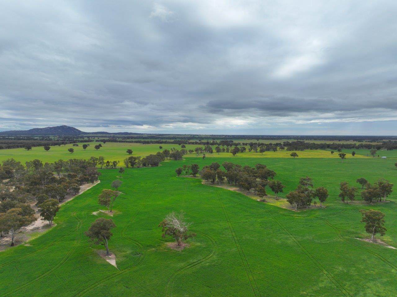 -- Brenanah-Kurting Road, Kurting For Sale by Farmbuy.com - image 14