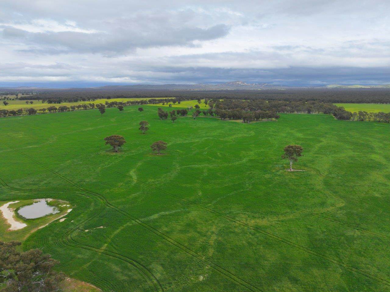 -- Brenanah-Kurting Road, Kurting For Sale by Farmbuy.com - image 17