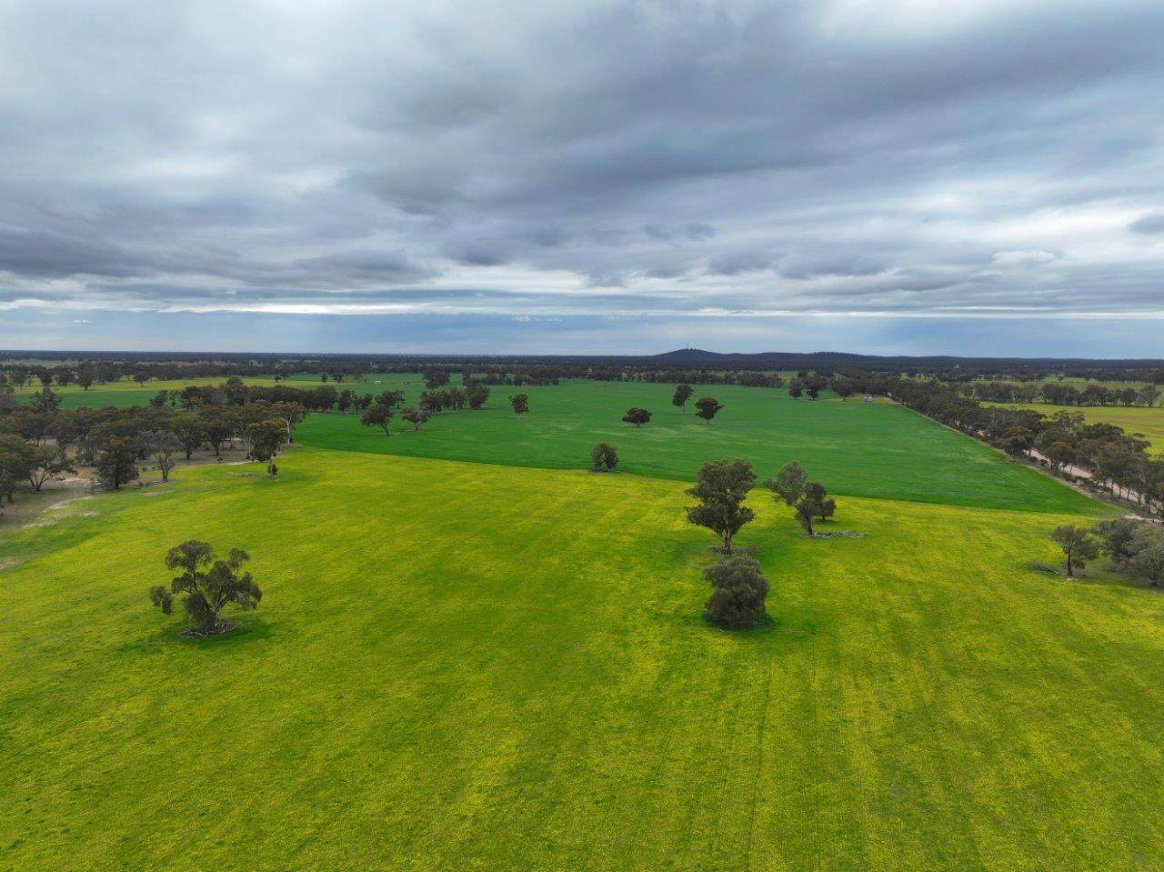 -- Brenanah-Kurting Road, Kurting For Sale by Farmbuy.com - image 6