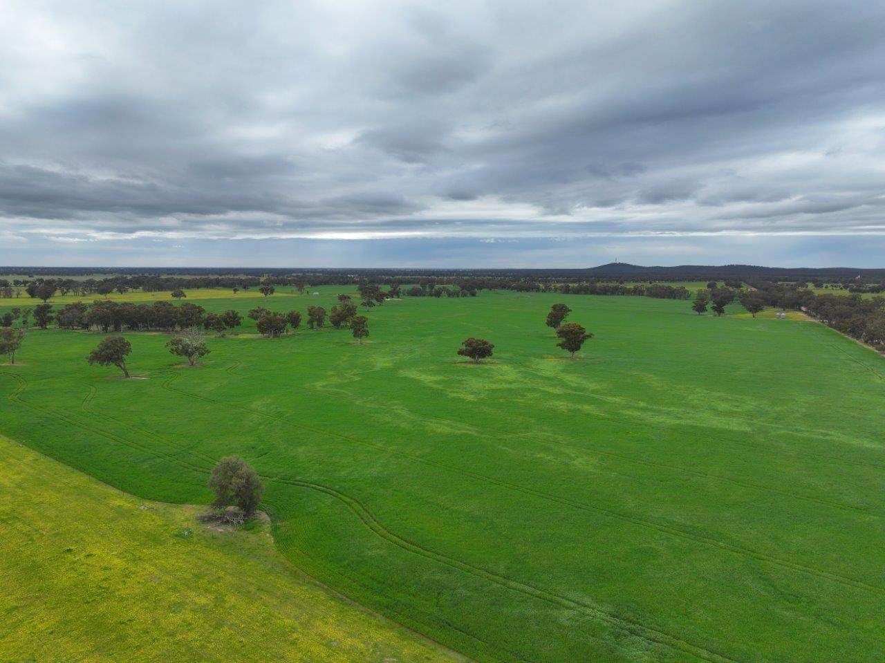 -- Brenanah-Kurting Road, Kurting For Sale by Farmbuy.com - image 18