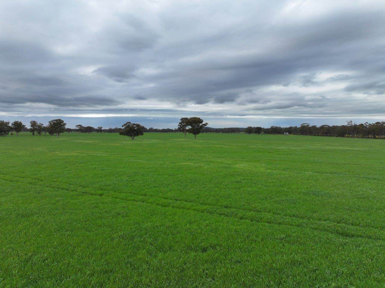 -- Brenanah-Kurting Road, Kurting For Sale by Farmbuy.com - image 13