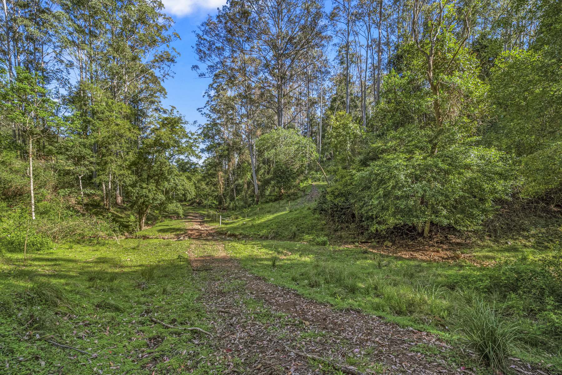 345 Glen Road, Craven For Sale by Farmbuy.com - image 18