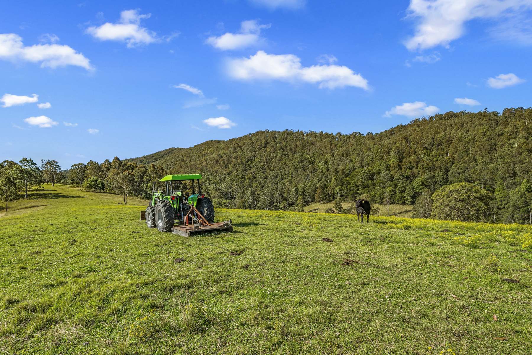 345 Glen Road, Craven For Sale by Farmbuy.com - image 19