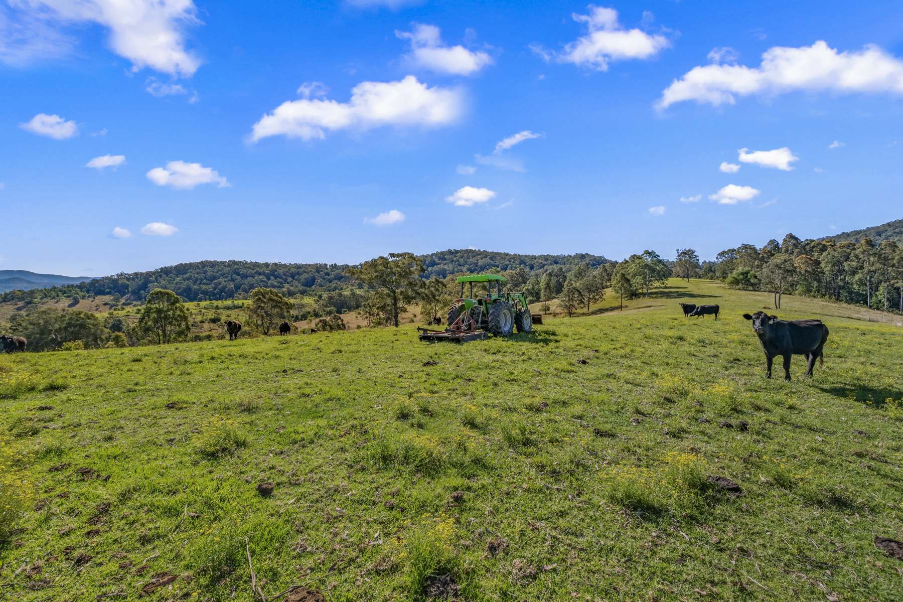 345 Glen Road, Craven For Sale by Farmbuy.com - image 16