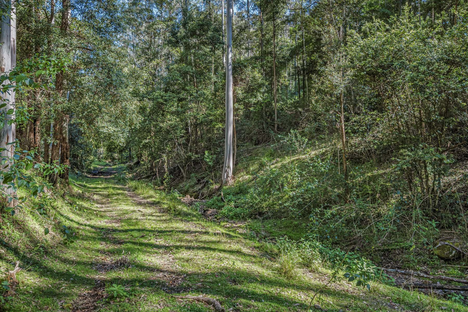 345 Glen Road, Craven For Sale by Farmbuy.com - image 21