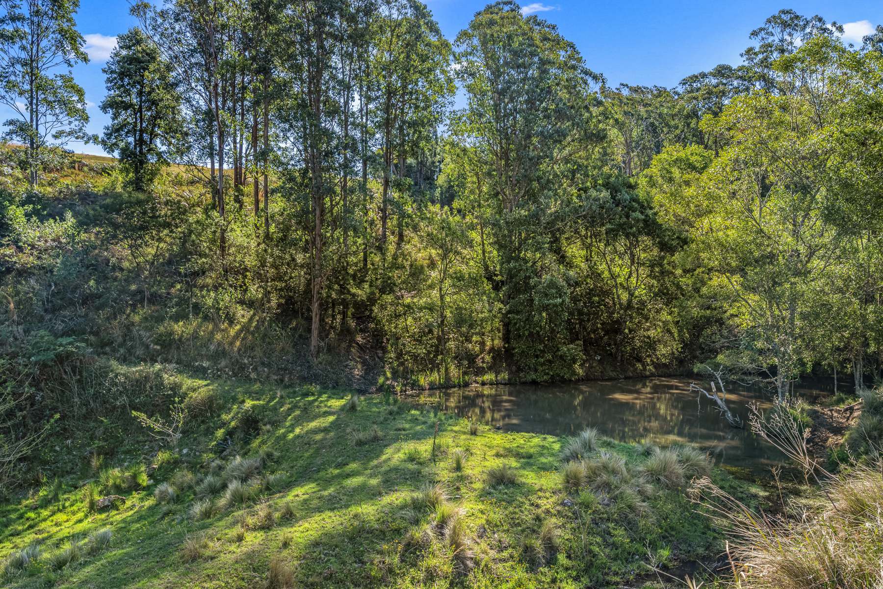 345 Glen Road, Craven For Sale by Farmbuy.com - image 14