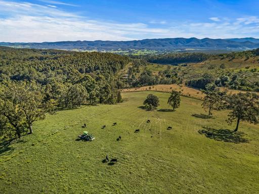 Farm For Sale - NSW - Craven - 2422 - Quiet Rural Weekender or Peaceful Tree Change 