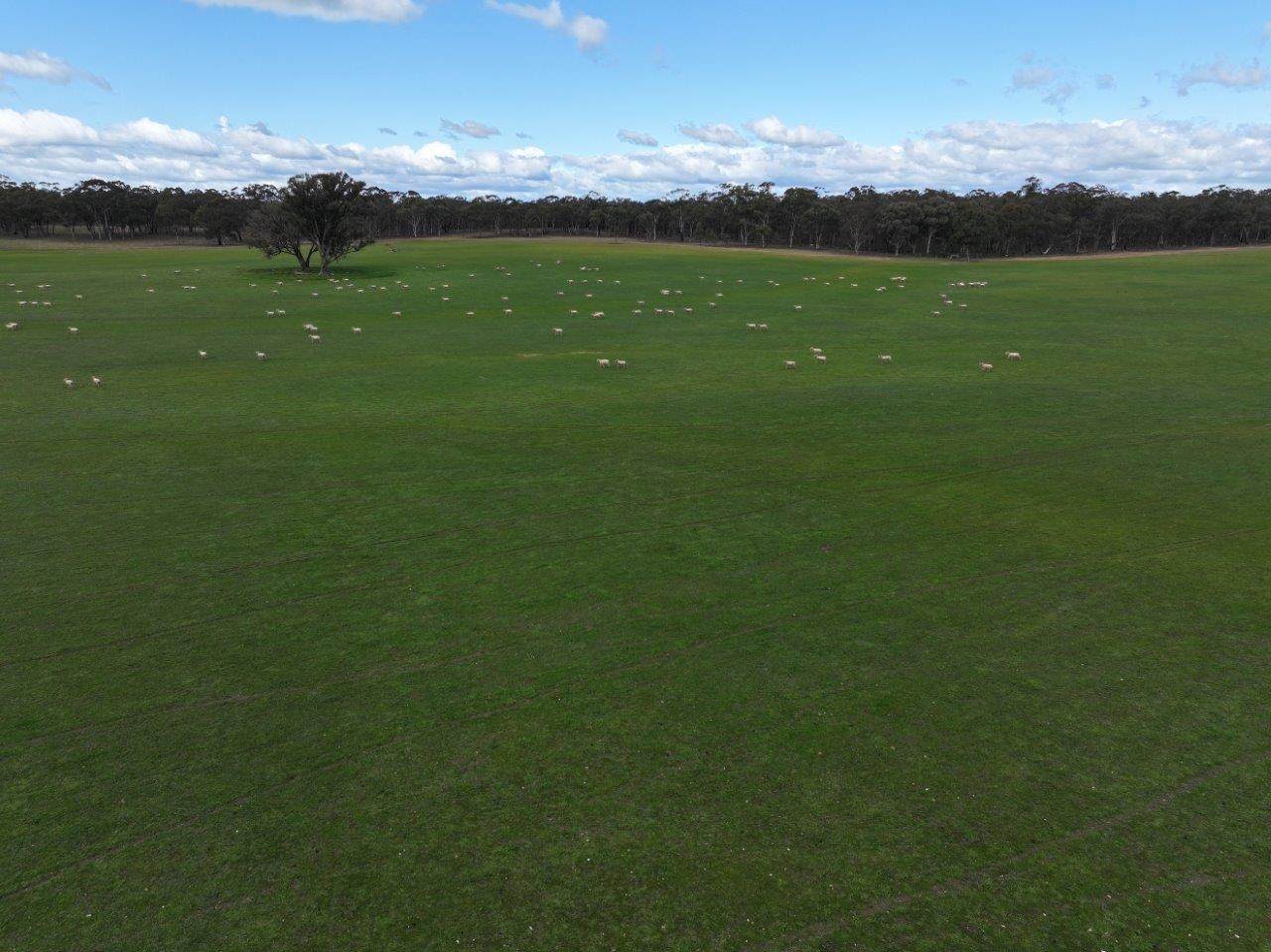 457 Scenic Road, Eddington For Sale by Farmbuy.com - image 19