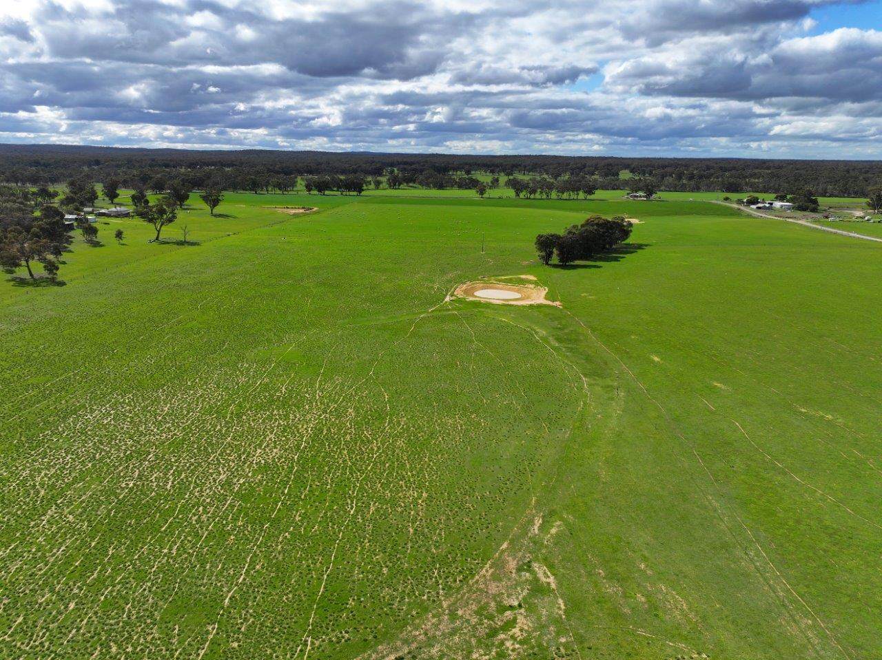 457 Scenic Road, Eddington For Sale by Farmbuy.com - image 7