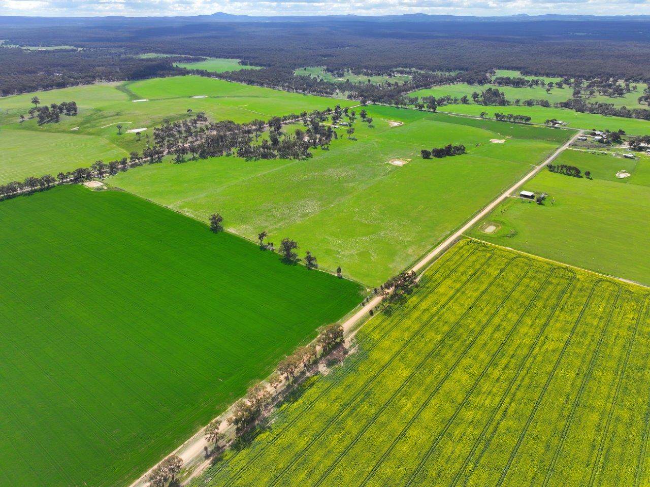457 Scenic Road, Eddington For Sale by Farmbuy.com - image 4