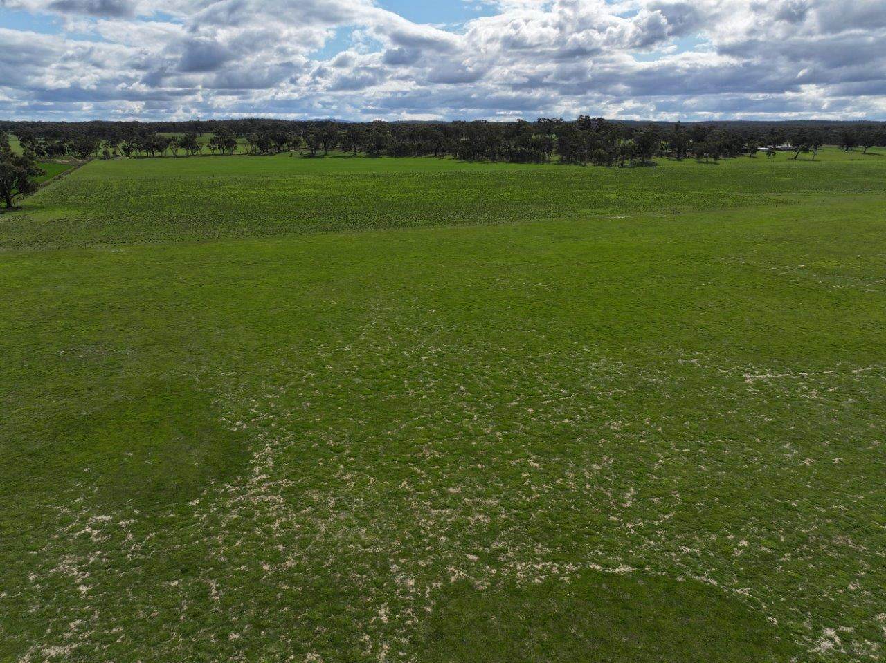 457 Scenic Road, Eddington For Sale by Farmbuy.com - image 5