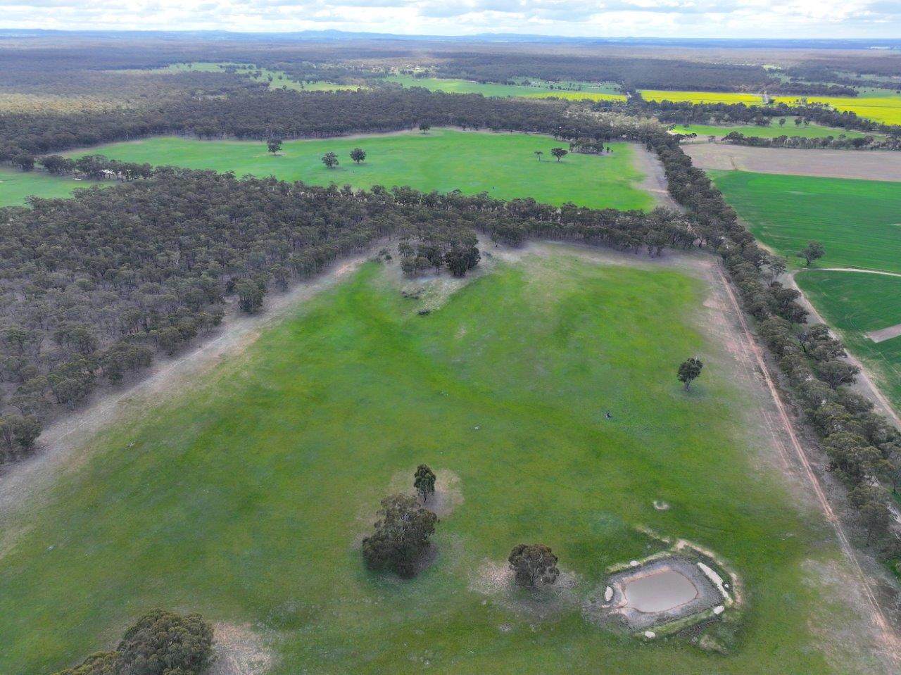 457 Scenic Road, Eddington For Sale by Farmbuy.com - image 15