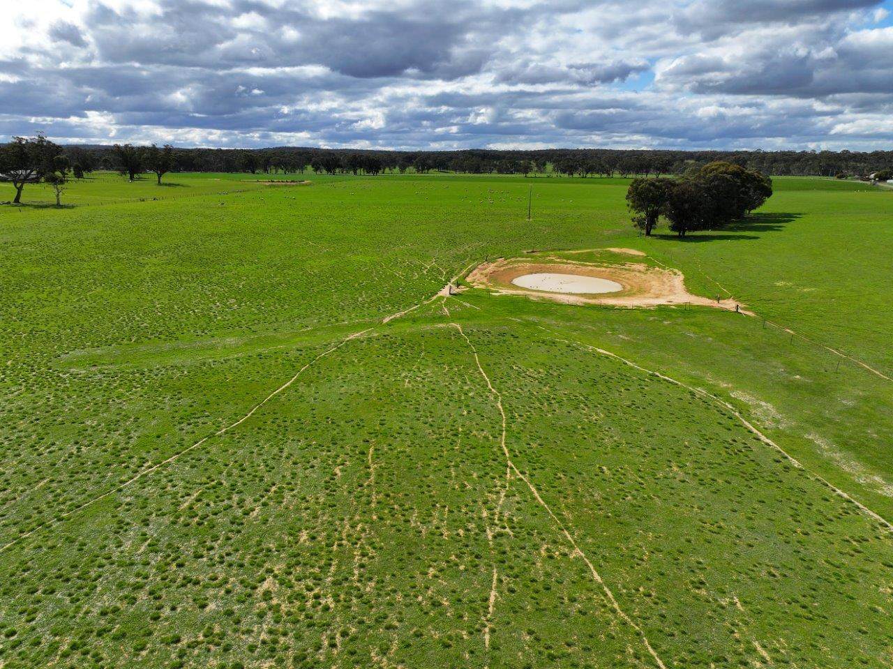 457 Scenic Road, Eddington For Sale by Farmbuy.com - image 10