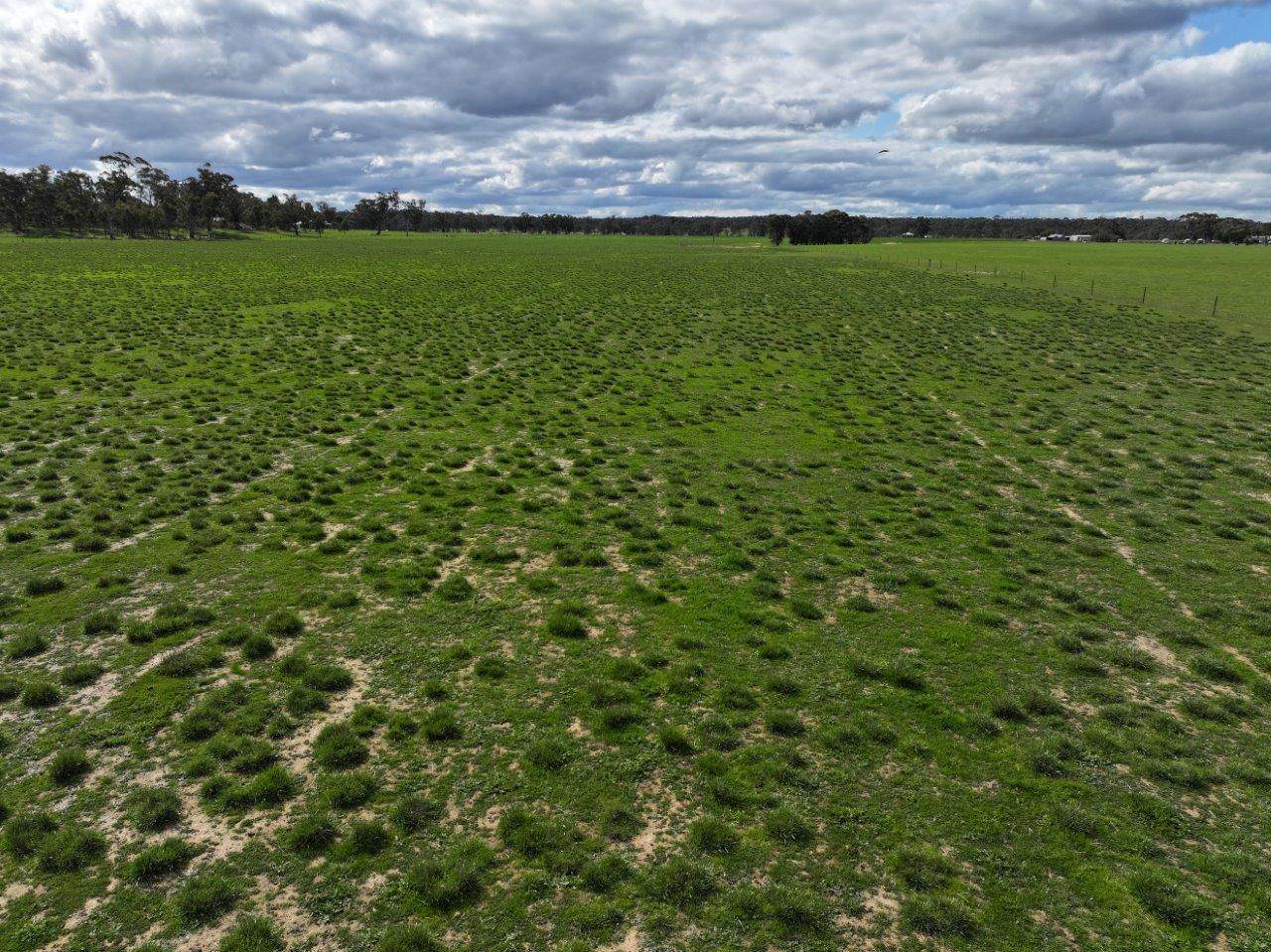 457 Scenic Road, Eddington For Sale by Farmbuy.com - image 6