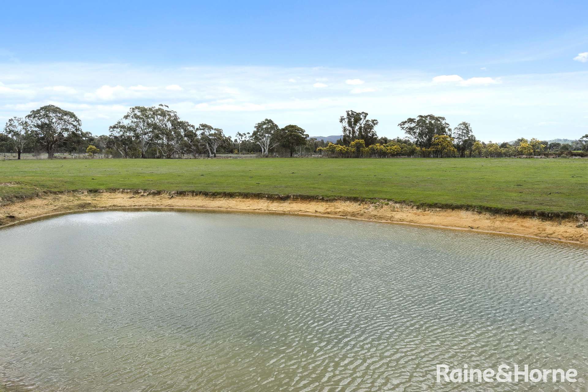 16 Olivers Lane West, Elphinstone Sold by Farmbuy.com - image 16