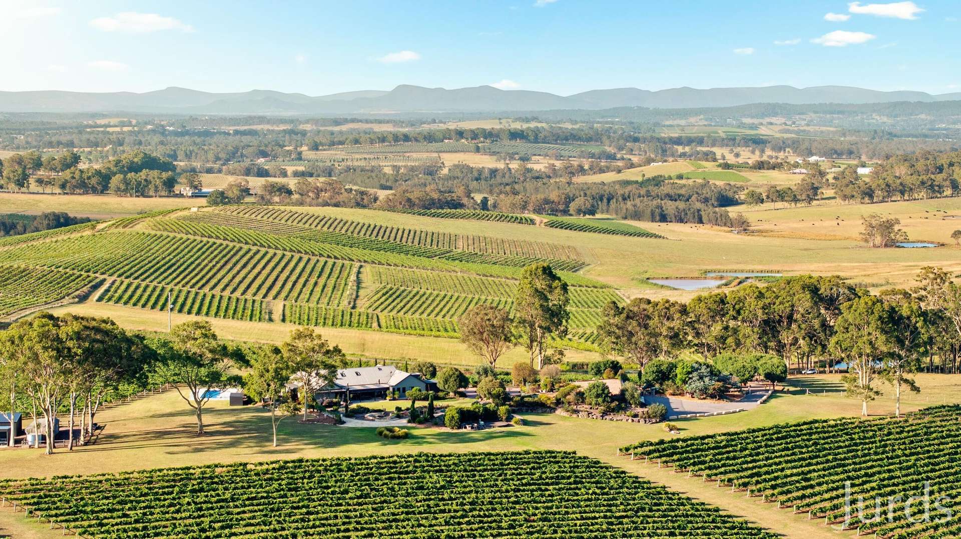 Marrowbone Road, Pokolbin For Sale by Farmbuy.com - image 33