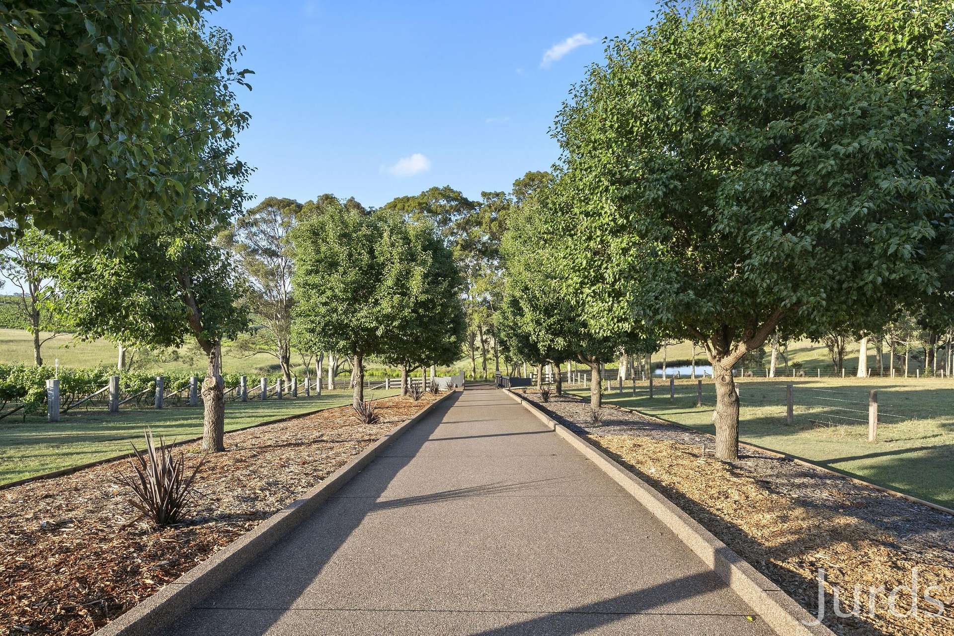 Marrowbone Road, Pokolbin For Sale by Farmbuy.com - image 27