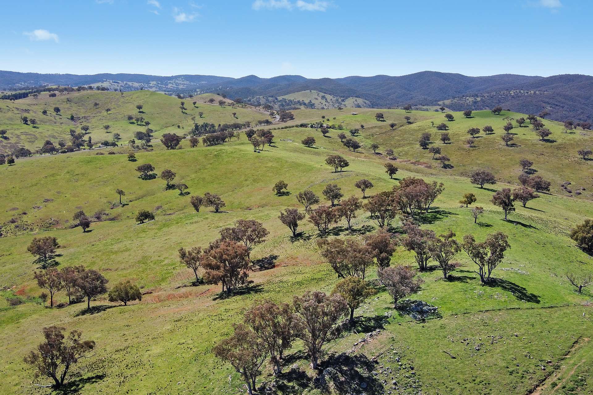 Lots 5 & 131, Part 4780 Ilford Sofala Road, Bathurst Sold by Farmbuy.com - image 2