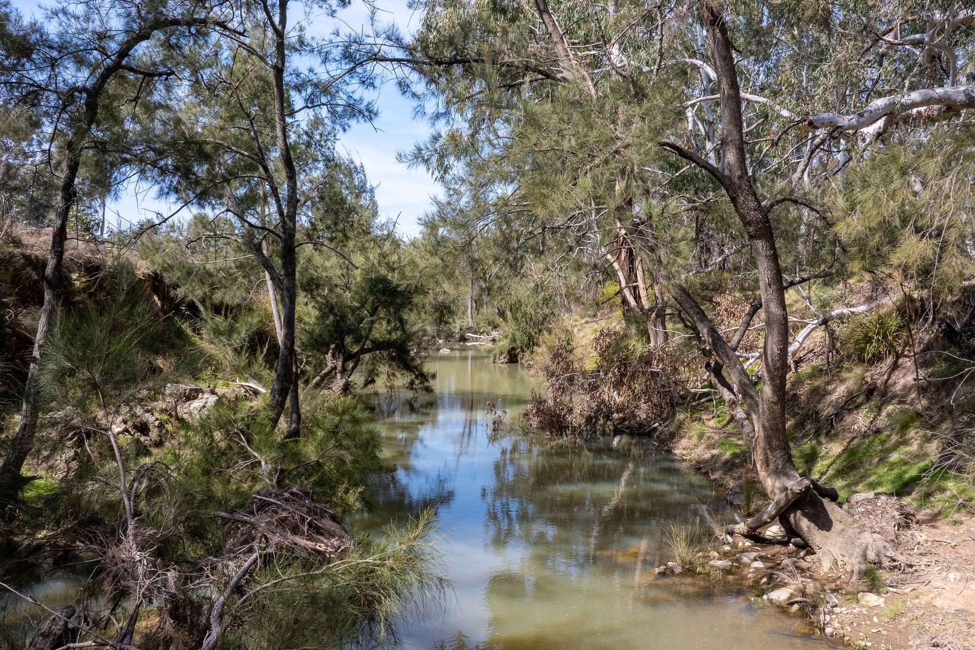 Lot 179, 82 Windgraves Road, Mudgee For Sale by Farmbuy.com - image 6