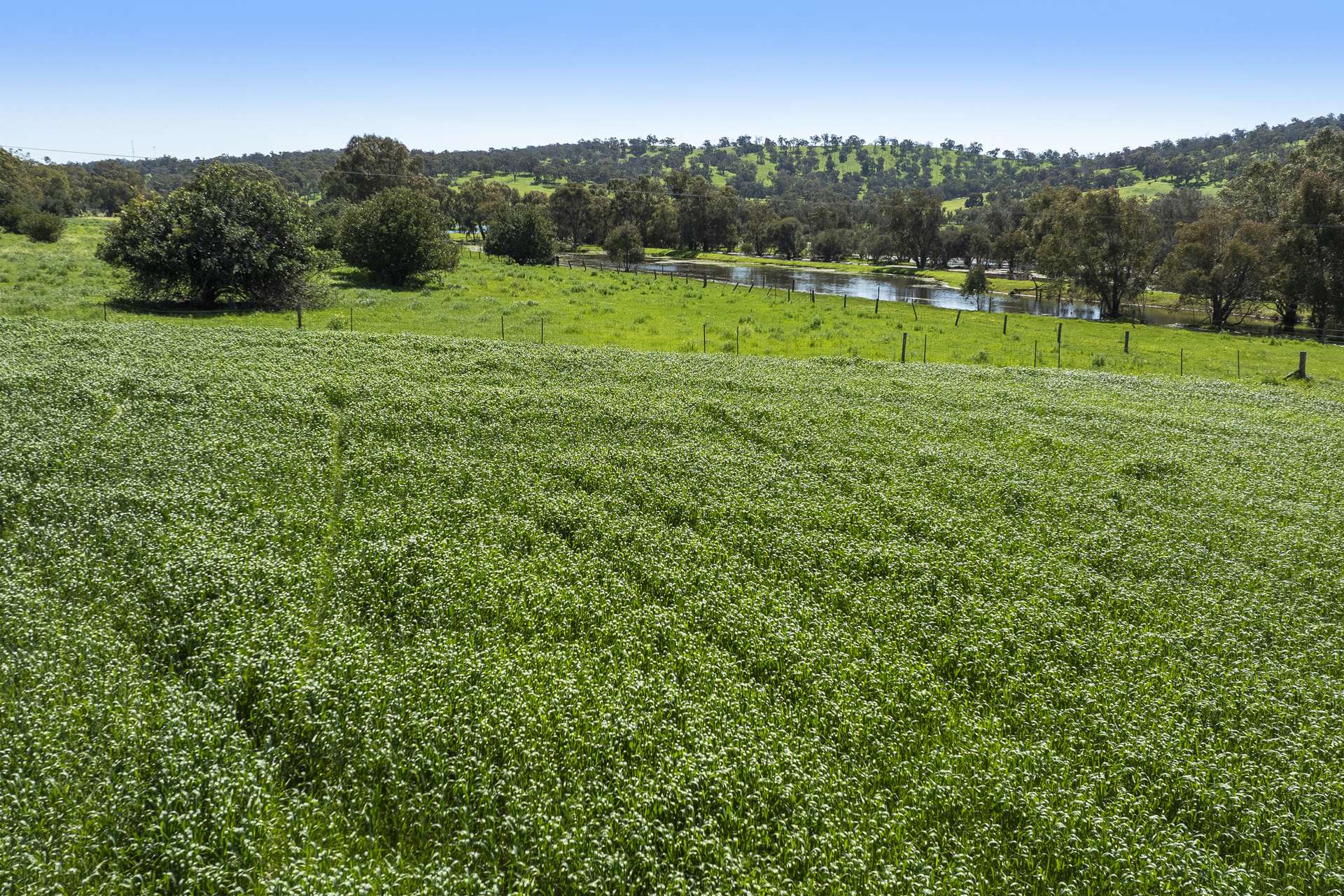 Lot 54 & 61,  Chittering Valley Road, Lower Chittering Sold by Farmbuy.com - image 35