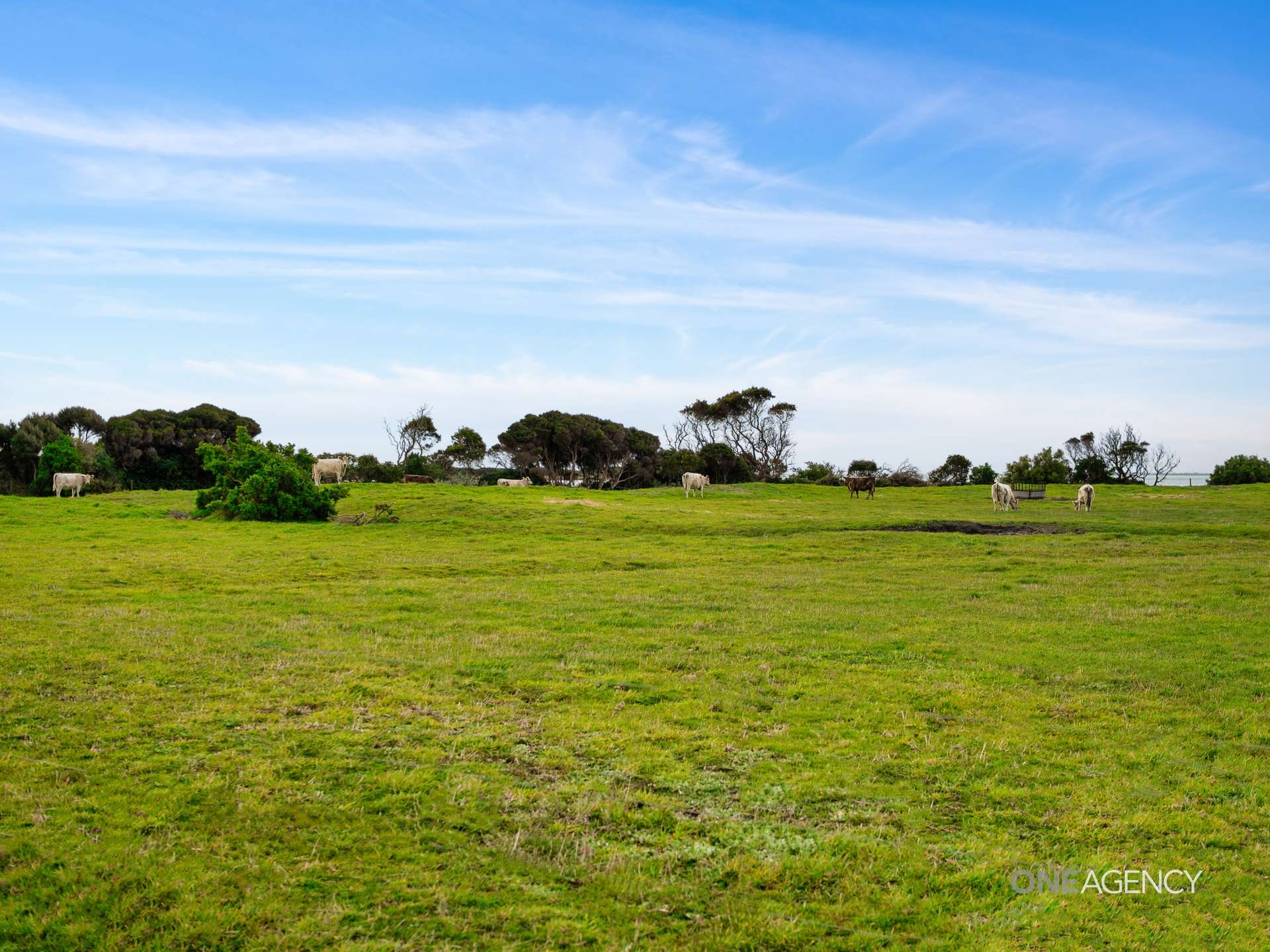 151 Stanley Highway, Stanley For Sale by Farmbuy.com - image 18