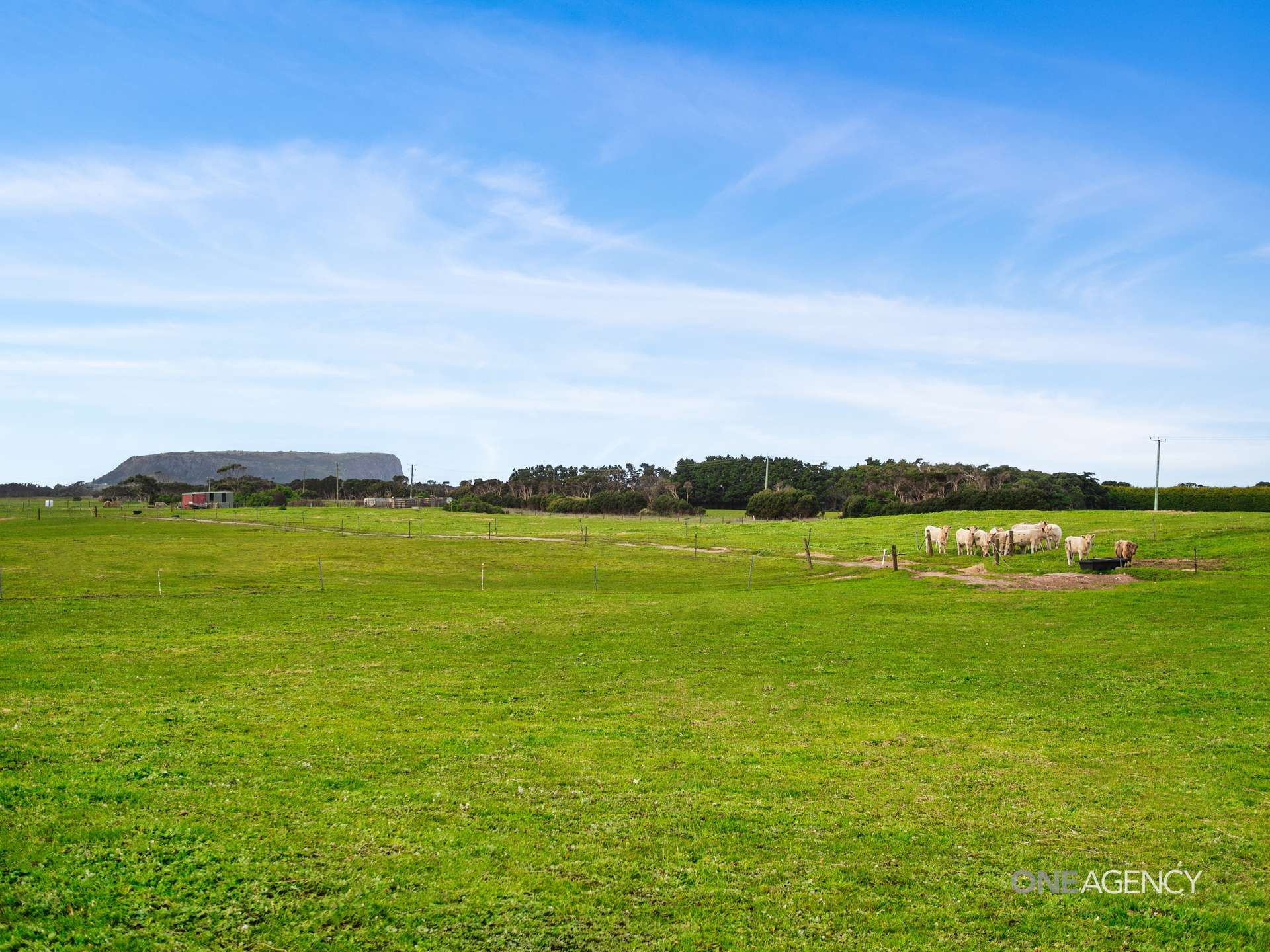 151 Stanley Highway, Stanley For Sale by Farmbuy.com - image 17