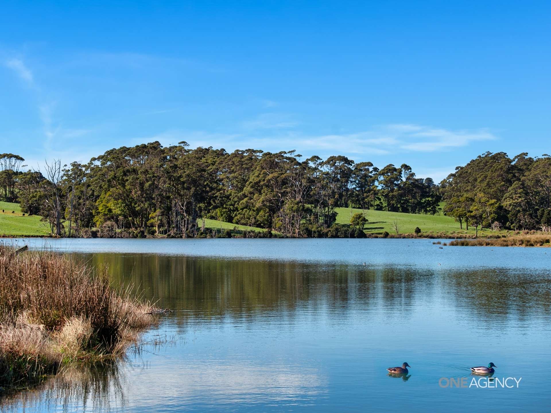 418 Back Line Road, Forest For Sale by Farmbuy.com - image 8
