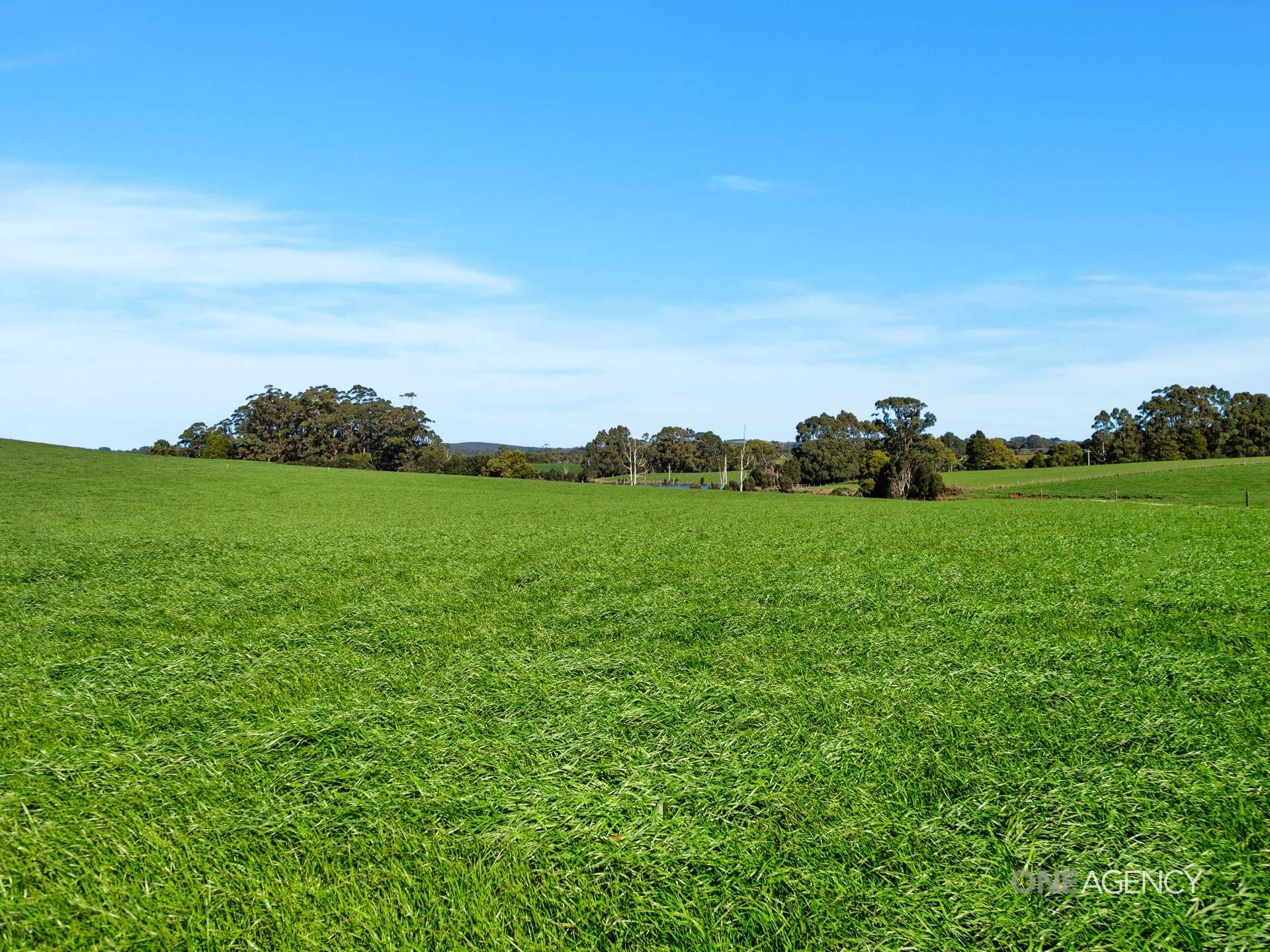 418 Back Line Road, Forest For Sale by Farmbuy.com - image 9