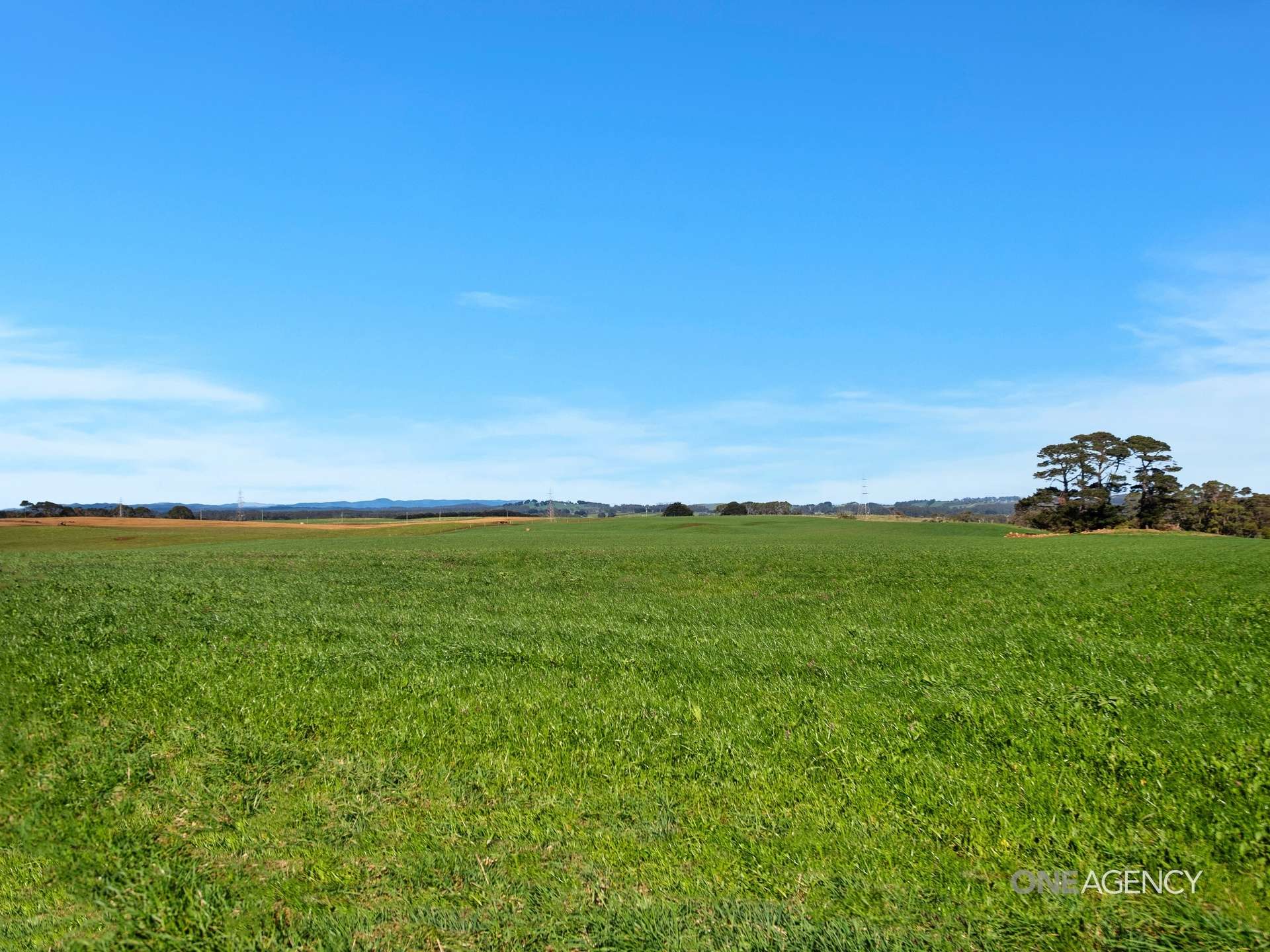 418 Back Line Road, Forest For Sale by Farmbuy.com - image 5