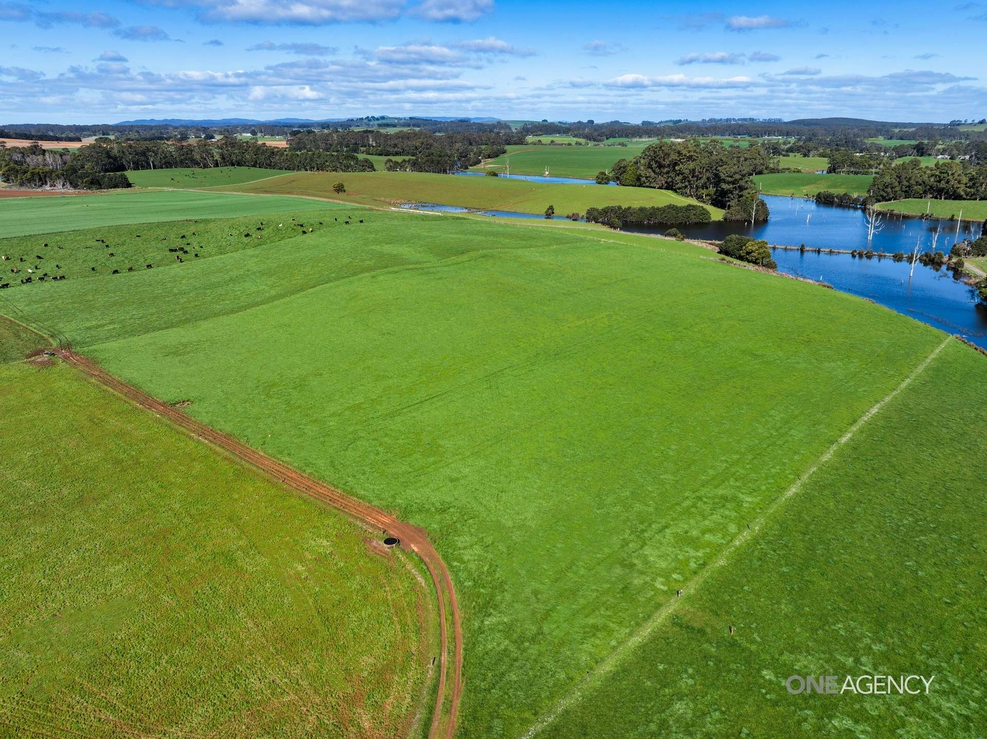 418 Back Line Road, Forest For Sale by Farmbuy.com - image 14